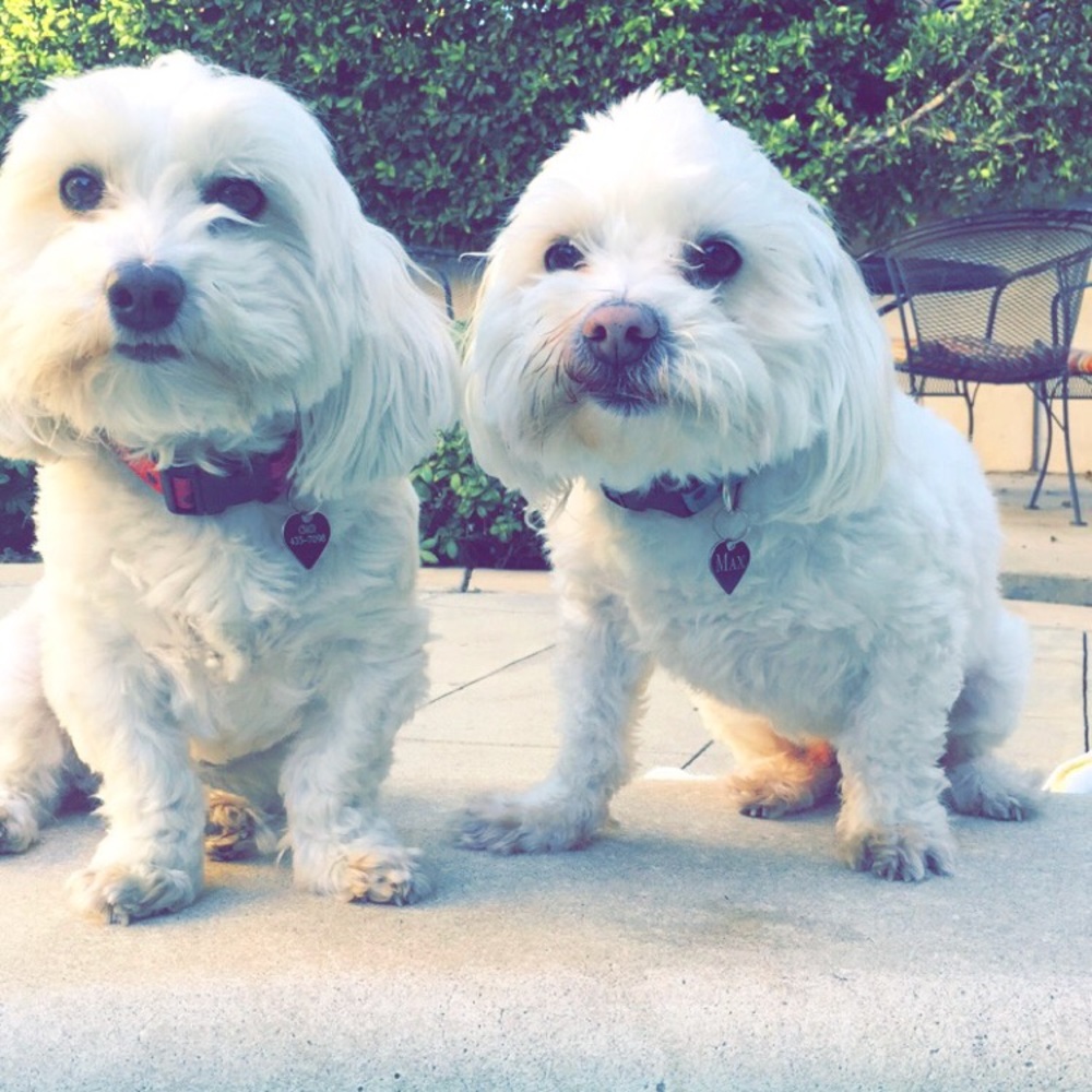 Meet your Posher, Tiffany